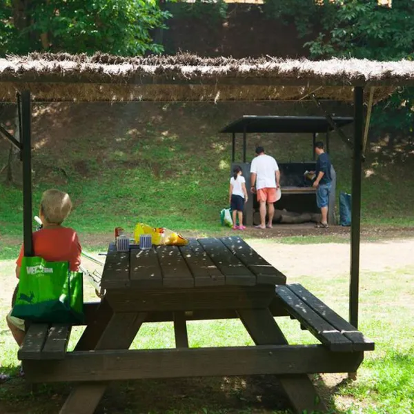 camping-lava-ecologic-santa-pau-cdjw4