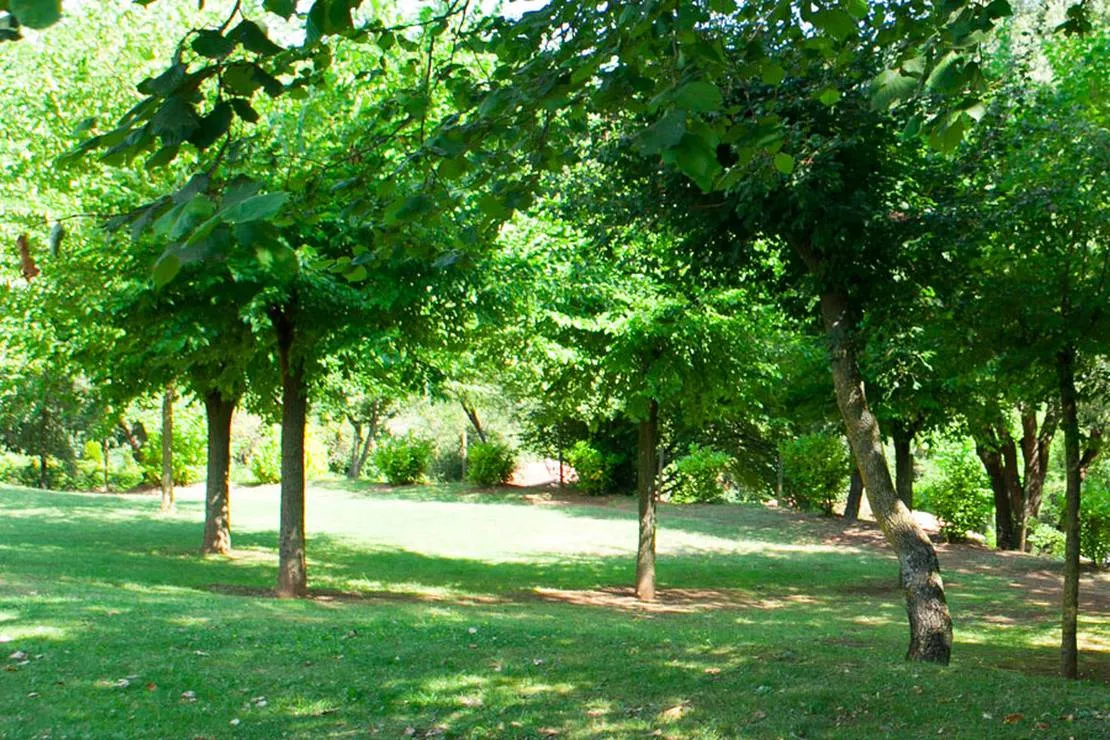 camping-lava-ecologic-santa-pau-fvk8x