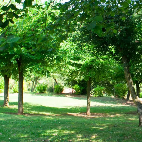camping-lava-ecologic-santa-pau-fvk8x