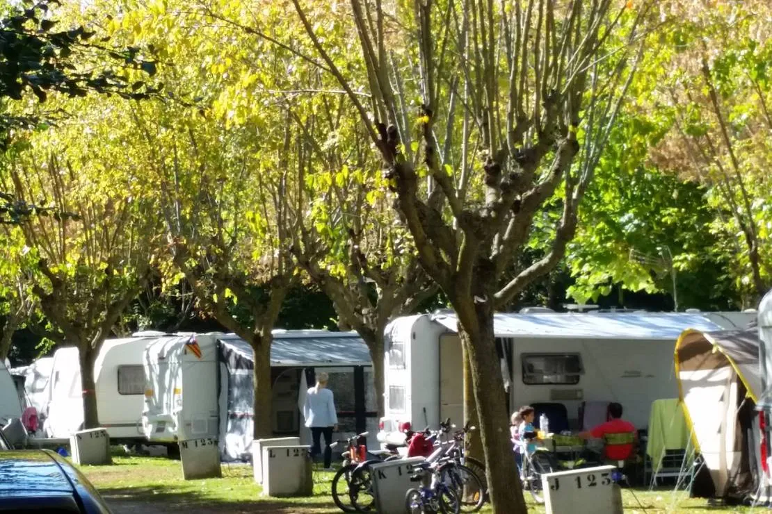 camping-lava-ecologic-santa-pau-wvbk2