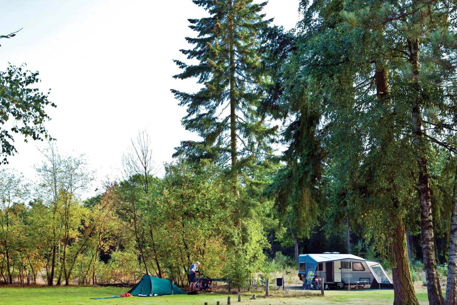 het-leenderbos-leende-oghjy