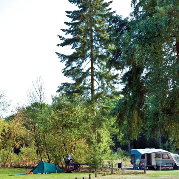 Het Leenderbos