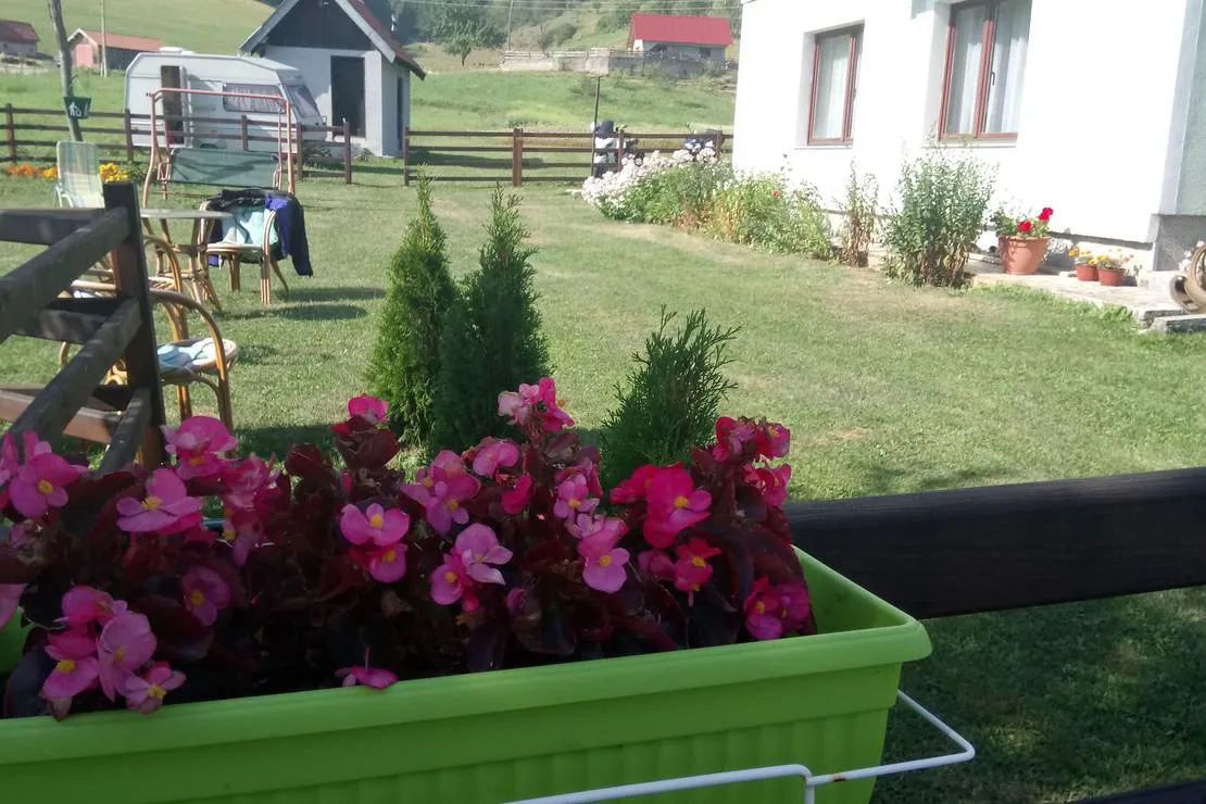 camping-zlatar-nova-varos-nqzeb