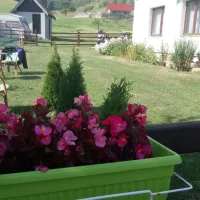 camping-zlatar-nova-varos-nqzeb