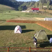 camping-zlatar-nova-varos-tmz6t