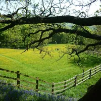 studfold-farm-caravan-and-camping-park-harrogate-3jrhx