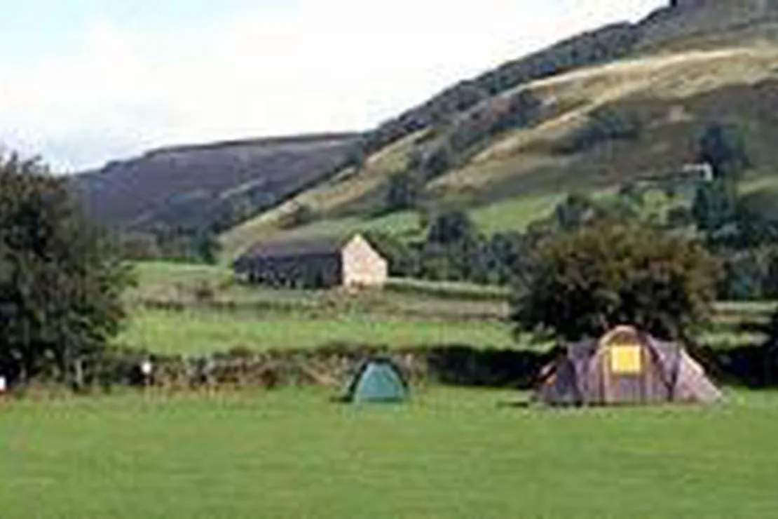 studfold-farm-caravan-and-camping-park-harrogate-rzedl