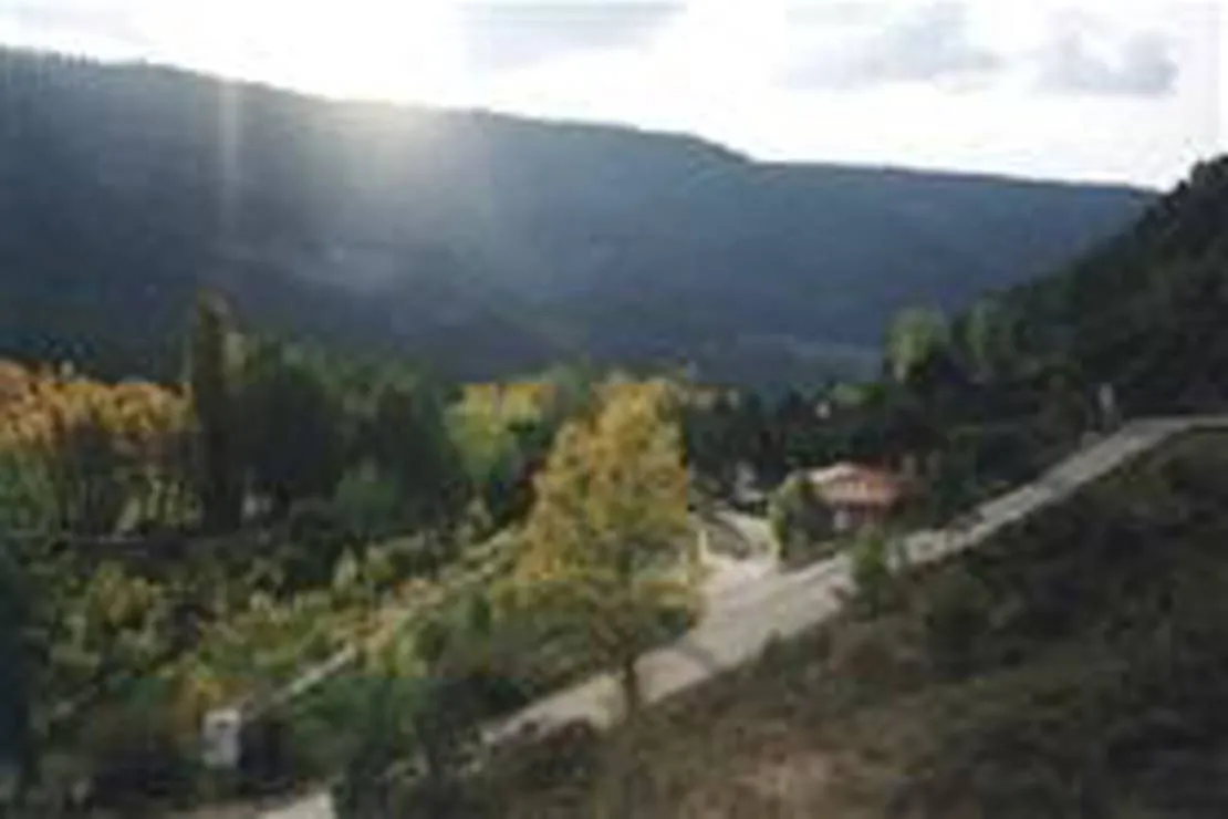 camping-serrania-poyatos-reies