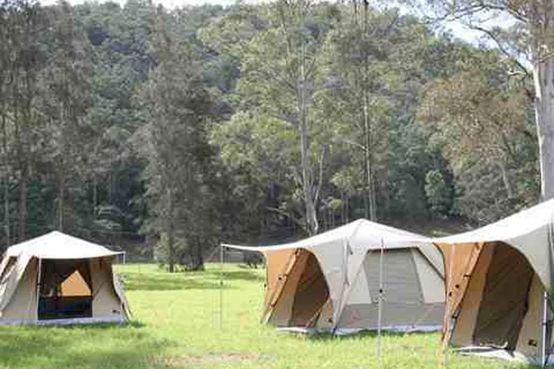 camping-golosna-boguslav-hgdp3