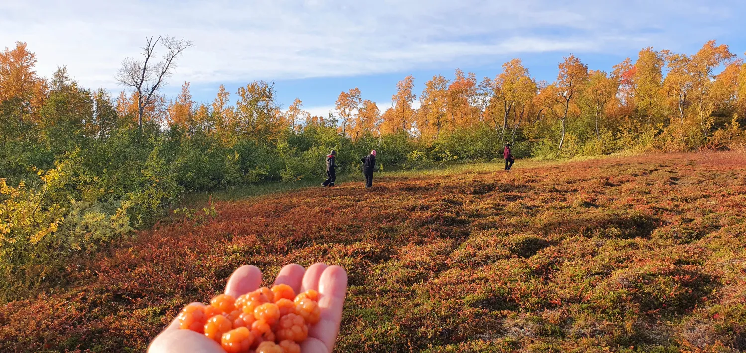 umfors-camping-hemavan-jbzkx