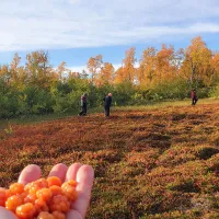 umfors-camping-hemavan-jbzkx