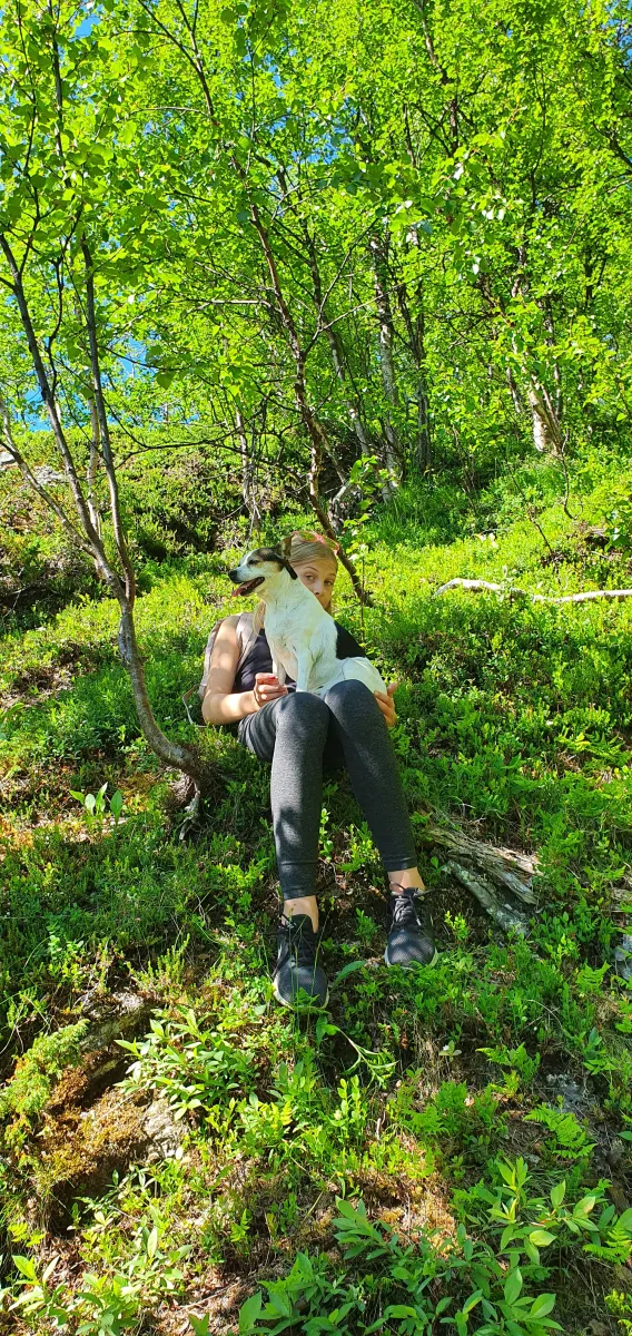 umfors-camping-hemavan-rvkpq
