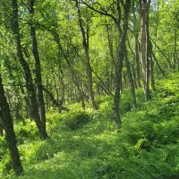 umfors-camping-hemavan-vnscc