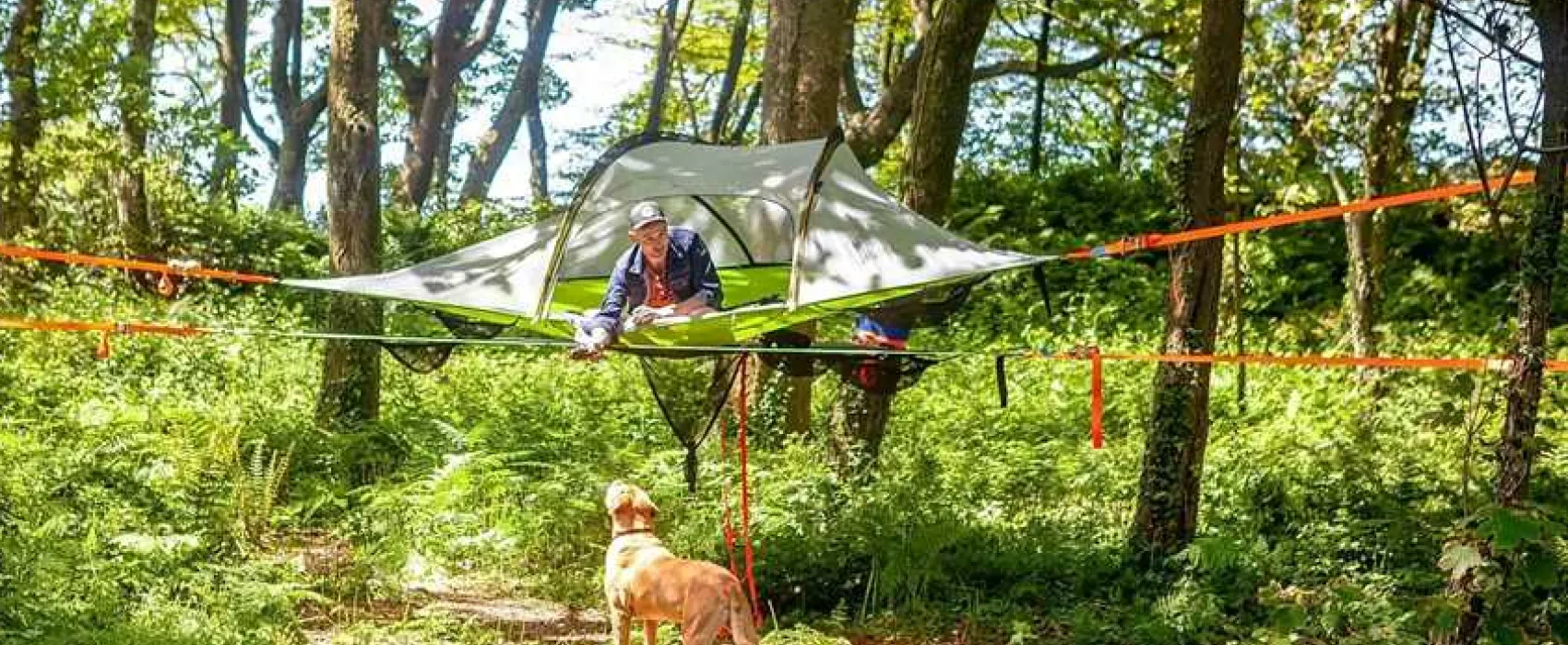 Kite View Camping