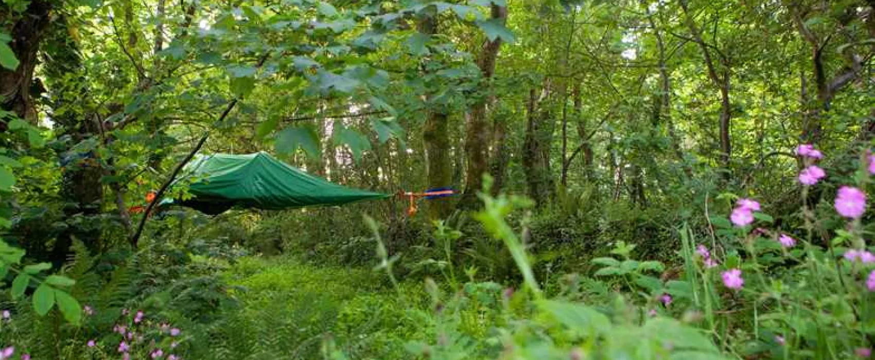 Kite View Camping