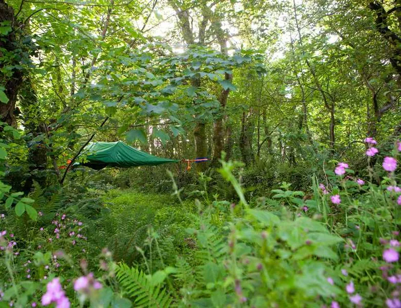 kite-view-camping-haverfordwest-a4nbw