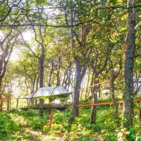 kite-view-camping-haverfordwest-htvvx