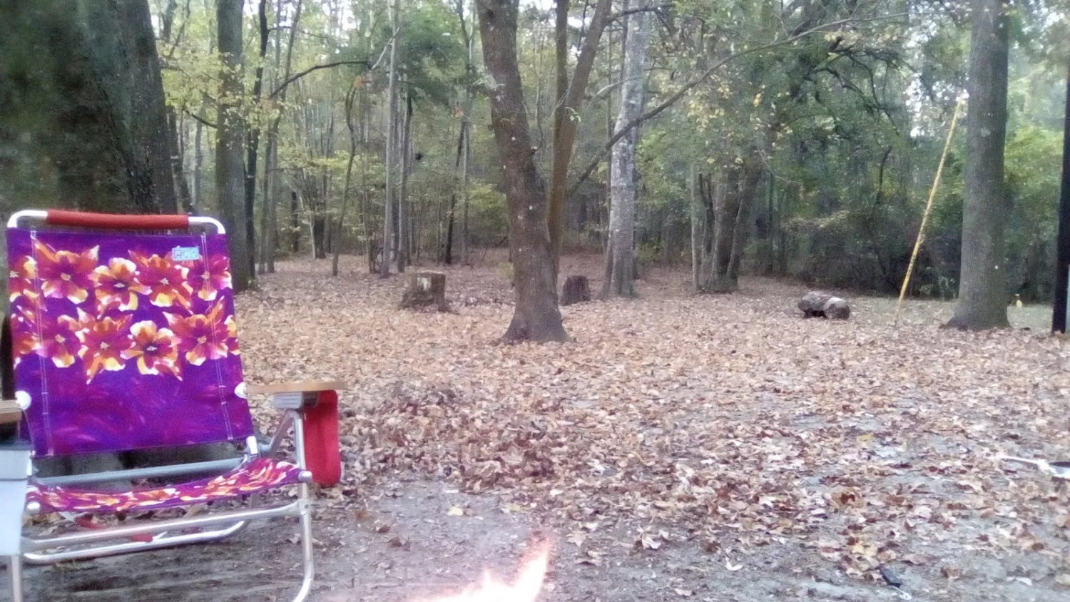 high-springs-campground-high-springs-pzcdk