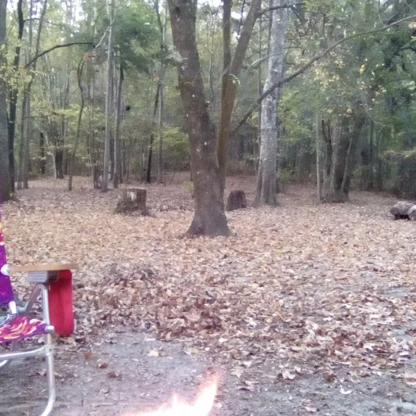 high-springs-campground-high-springs-pzcdk