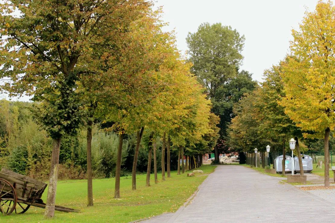 brinkmanns-hof-gescher-ejll1
