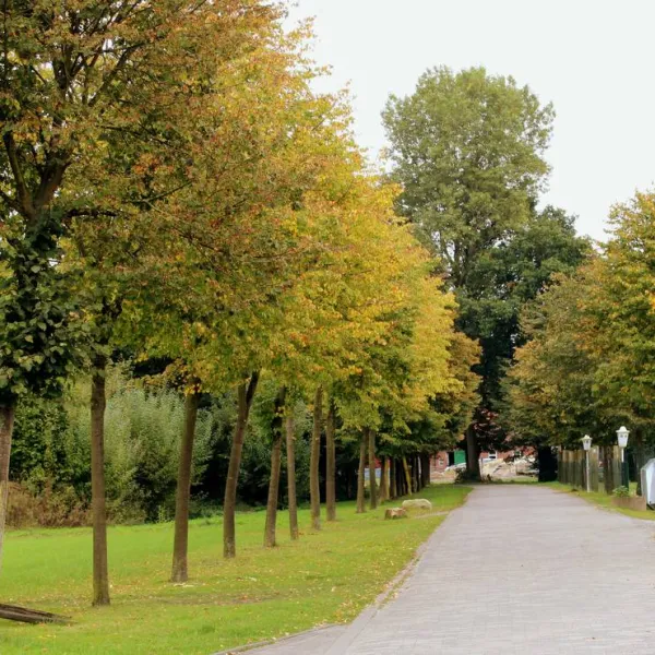 brinkmanns-hof-gescher-ejll1