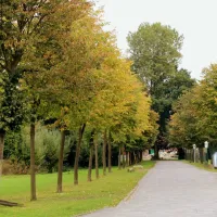 brinkmanns-hof-gescher-ejll1