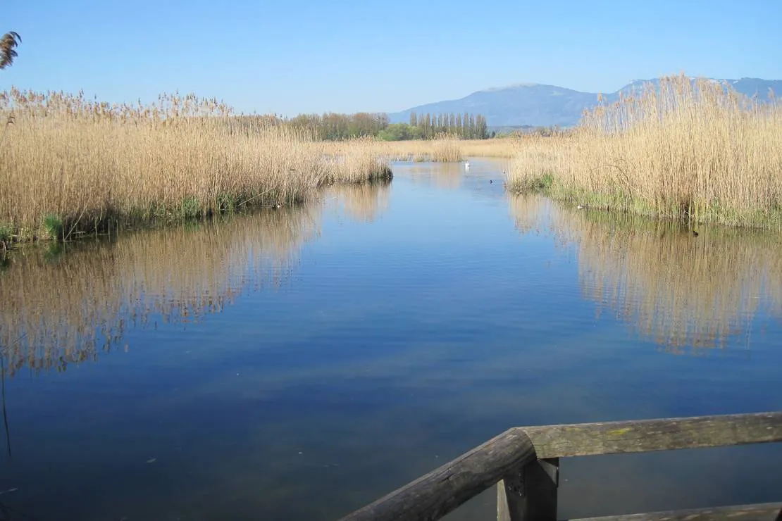 camping-yverdon-plage-yverdon-les-bains-kwrhg