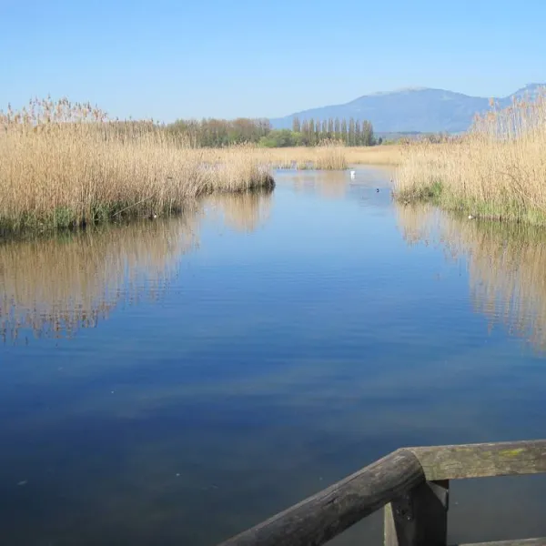 camping-yverdon-plage-yverdon-les-bains-kwrhg