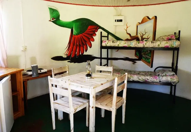 woody-cape-backpackers-and-nature-lodge-no-325-alexandria-bl2d5