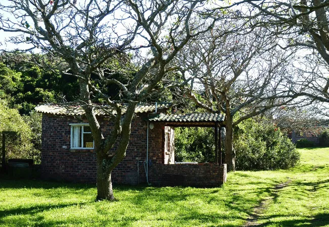 woody-cape-backpackers-and-nature-lodge-no-325-alexandria-iiqmj