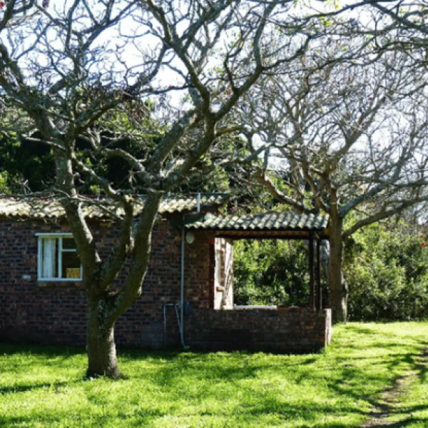 woody-cape-backpackers-and-nature-lodge-no-325-alexandria-iiqmj