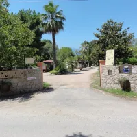 via-romana-ghisonaccia-zxqzy