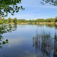 wald-und-naturcampingplatz-am-tonsee-sud-gross-koris-fq6i2