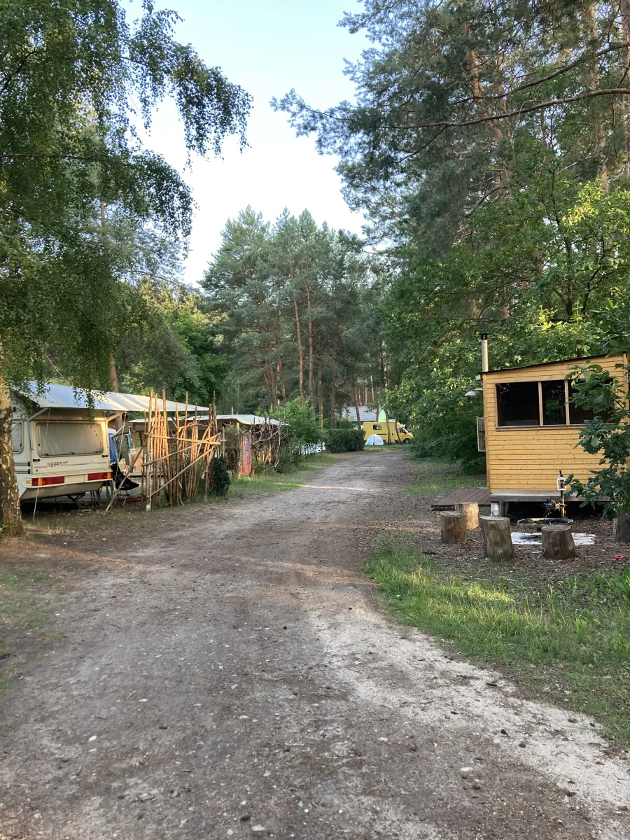 wald-und-naturcampingplatz-am-tonsee-sud-gross-koris-oiwd4
