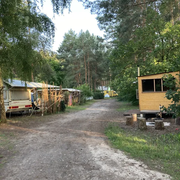 wald-und-naturcampingplatz-am-tonsee-sud-gross-koris-oiwd4