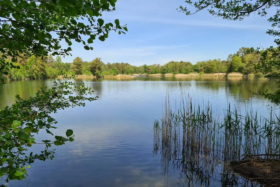 wald-und-naturcampingplatz-am-tonsee-sud-gross-koris-qdbbj