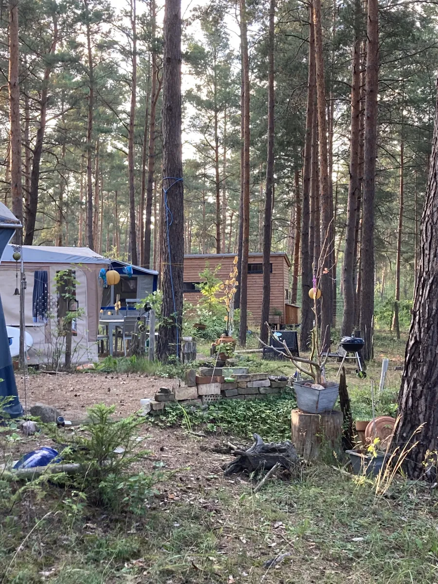 wald-und-naturcampingplatz-am-tonsee-sud-gross-koris-rufn1