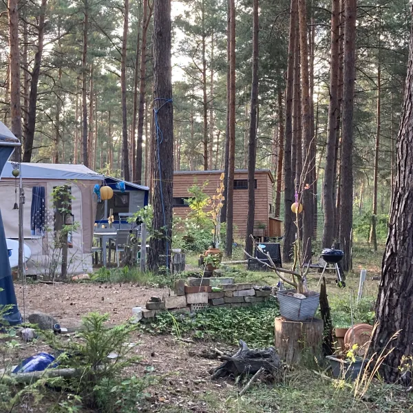 wald-und-naturcampingplatz-am-tonsee-sud-gross-koris-rufn1