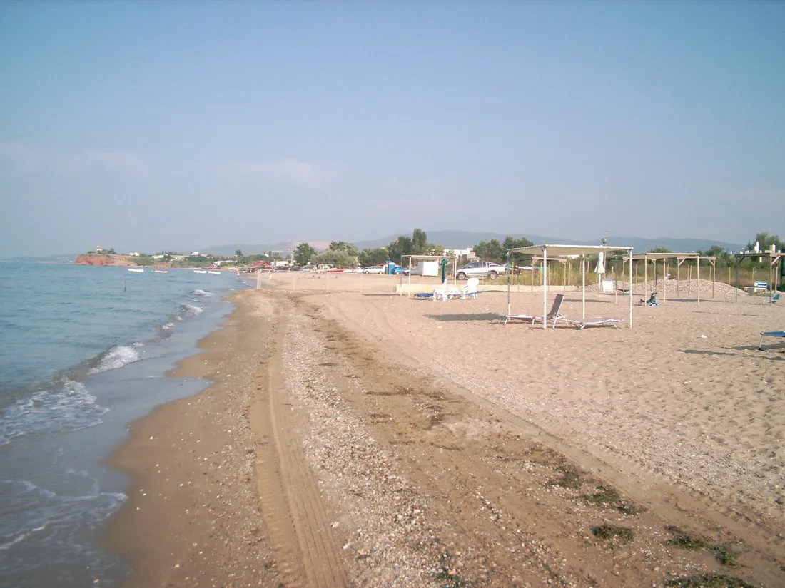 municipal-of-alexandroupolis-alexandroupolis-iuaxn