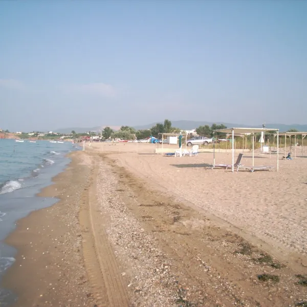 municipal-of-alexandroupolis-alexandroupolis-iuaxn
