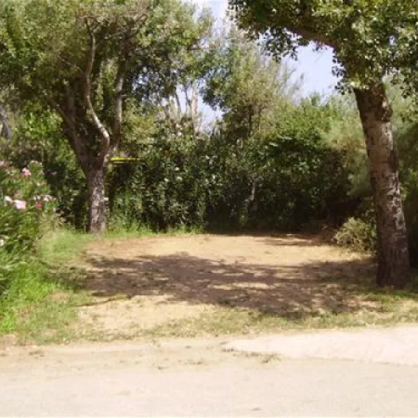 municipal-of-alexandroupolis-alexandroupolis-kot3f
