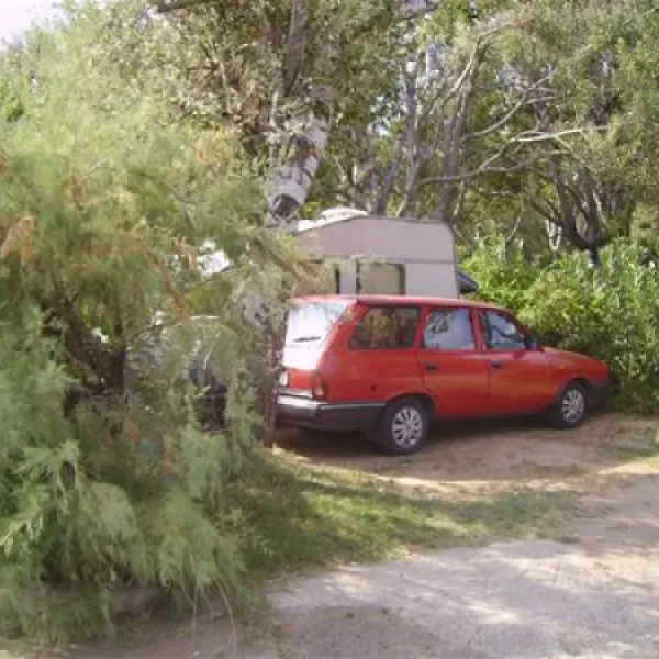municipal-of-alexandroupolis-alexandroupolis-ljkst