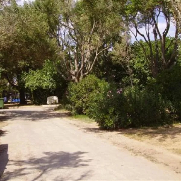 municipal-of-alexandroupolis-alexandroupolis-nkkr6