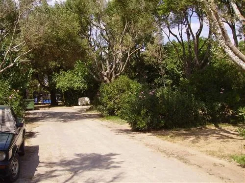 municipal-of-alexandroupolis-alexandroupolis-wo5wt
