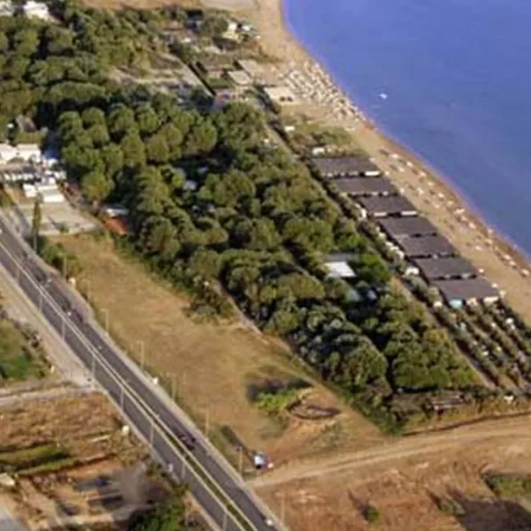 Municipal of Alexandroupolis