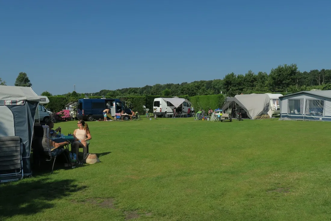 de-wulp-noordwijk-noordwijk-aan-zee-l96um