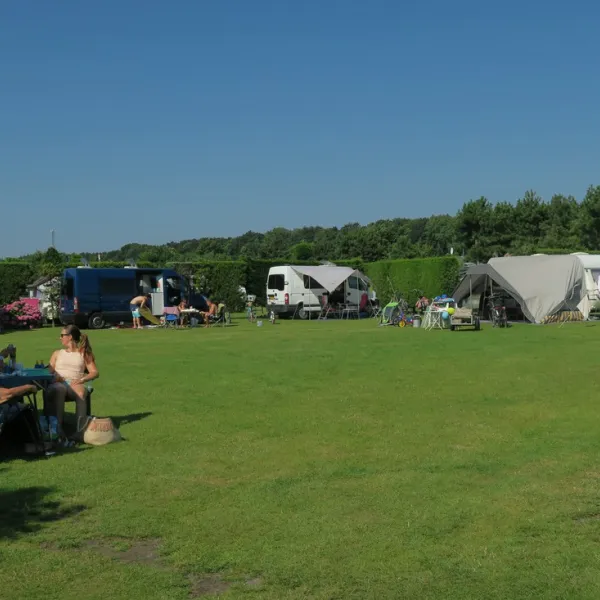 de-wulp-noordwijk-noordwijk-aan-zee-l96um