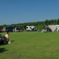 de-wulp-noordwijk-noordwijk-aan-zee-l96um