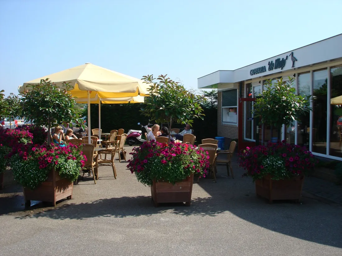 de-wulp-noordwijk-noordwijk-aan-zee-yniau