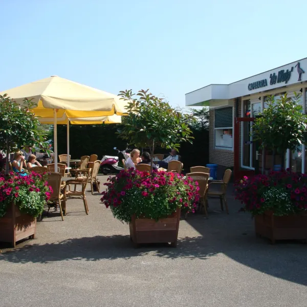 de-wulp-noordwijk-noordwijk-aan-zee-yniau